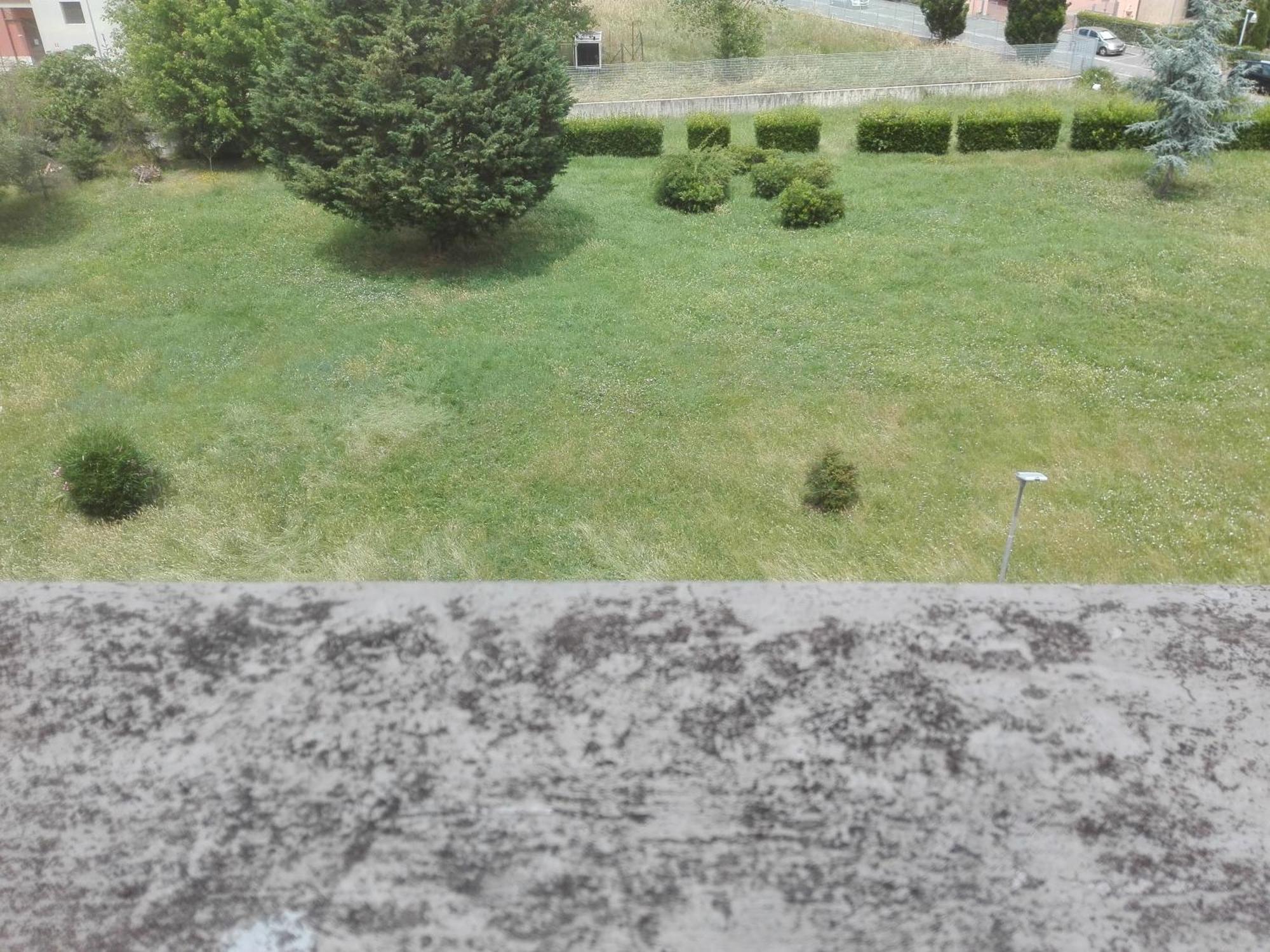 Welchome - Cisanello Pisa Exteriér fotografie